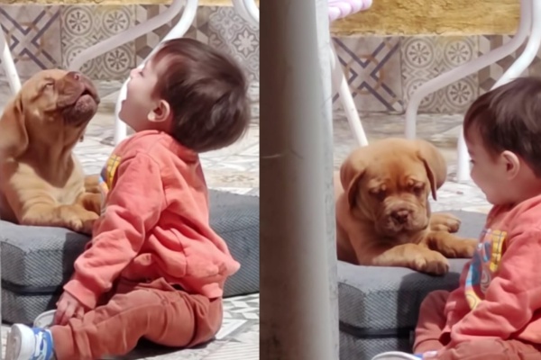 "Me dio un ataque de amor": filmó a su hijo junto a su cachorro y enterneció las redes sociales