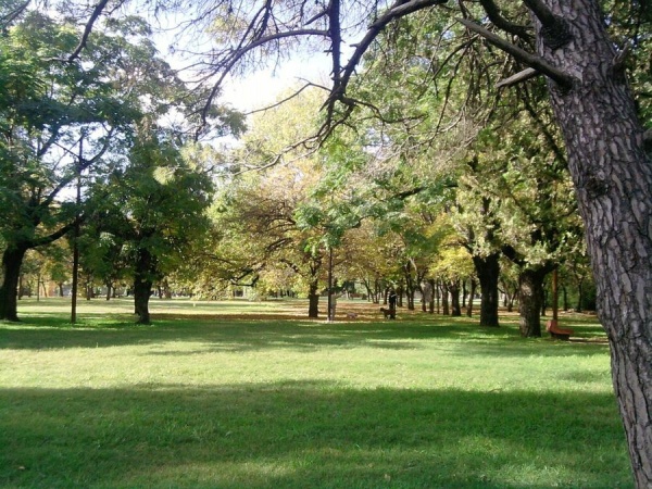 Le apuntaron con un arma para robarle todo en el Parque San Mart&iacute;n y huyeron