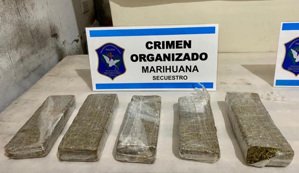 Doce personas fueron detenidas por narcomenudeo en La Plata y Berisso