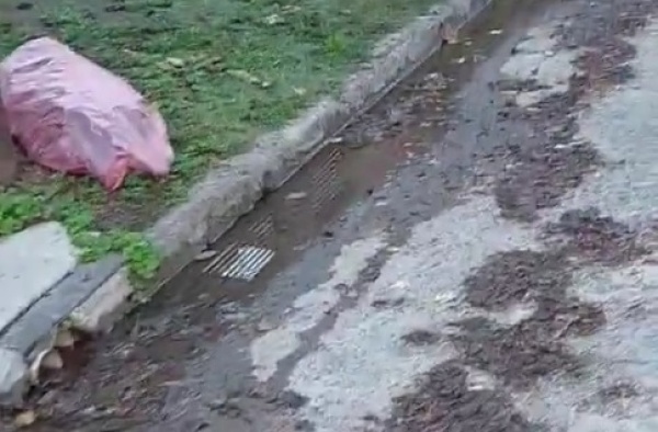 La bronca de un vecino por una pérdida en 136 y 56: "Estamos derrochando agua potable"