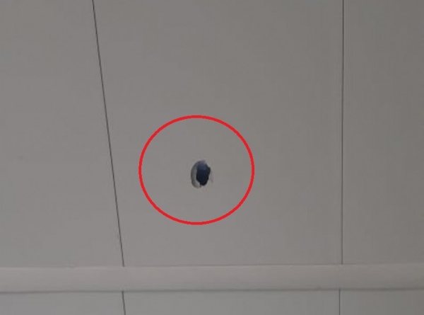 Una bala perdida casi causa una tragedia en un comercio de Berisso