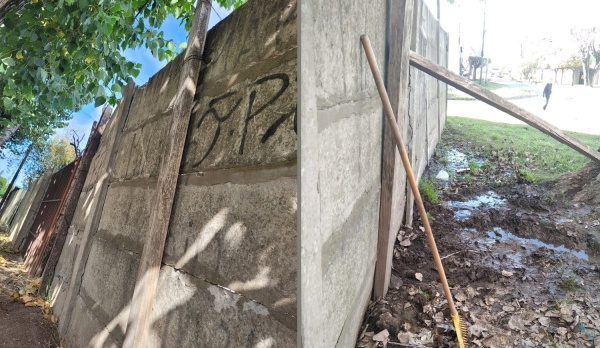 "Atrapado" por las raíces de los árboles: un platense denunció una insólita situación