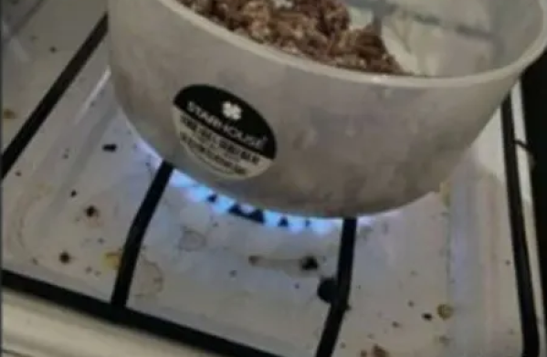 Descongeló la comida, cometió un increíble error cuando quería consumirla y se volvió viral: "Dice que soporta el calor..."