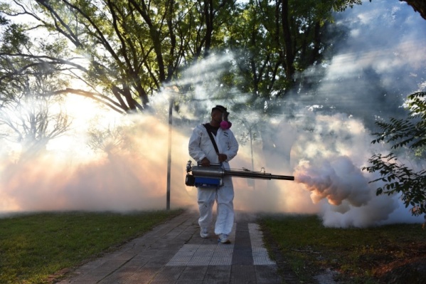 La fumigación contra el dengue llegará este viernes al Casco Urbano, Tolosa y Altos de San Lorenzo