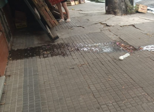 La pared de una casa platense pierde agua y genera un gran charco en la vereda