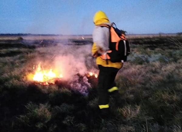 Se incendió un sector del Parque Pereyra Iraola y lograron apagarlo en tres horas