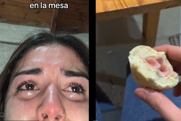 Sus mascotas le comieron todo el jamón, le mando mensajes llorando a una amiga y su situación se viralizó