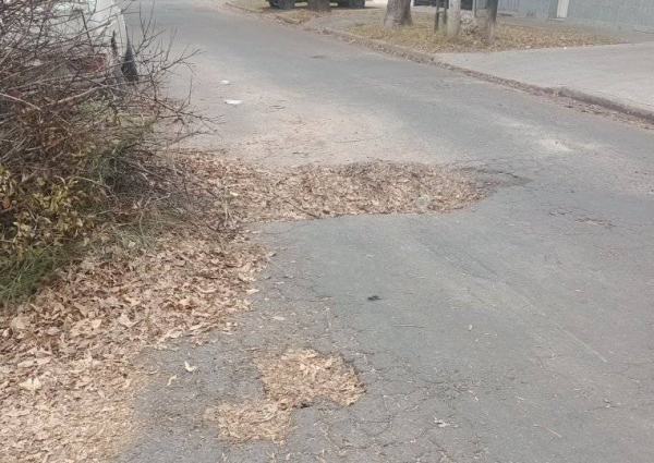 En un sector de Villa Elvira alertaron por la presencia de un mega bache