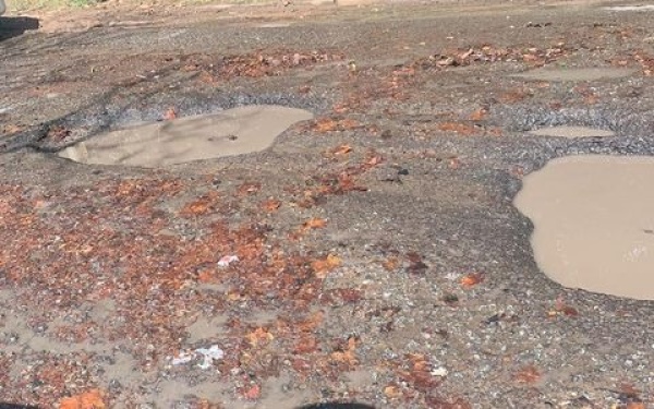 "Estamos esperando una tragedia": vecinos de San Carlos preocupados por pozos de gran tamaño