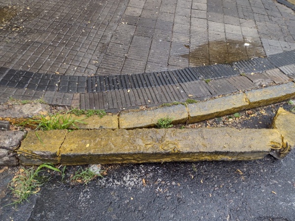 "No puedo cruzar la calle": Se rompió el cordón de la vereda en La Plata y nadie lo arregla