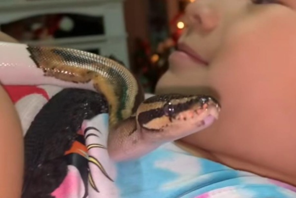 Ni perro, ni gato: una nena se volvió viral por la increíble amistad que tiene con una pequeña serpiente