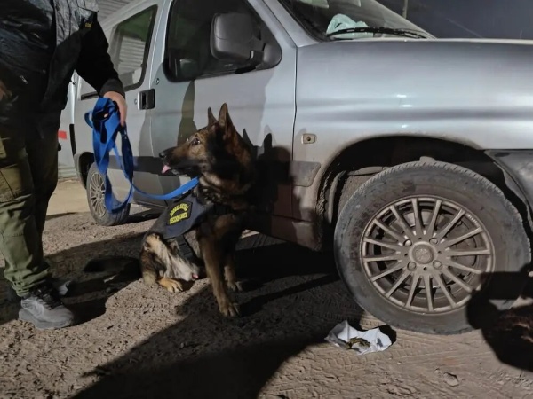 Intensificaron controles en el tr&aacute;nsito nocturno de La Plata
