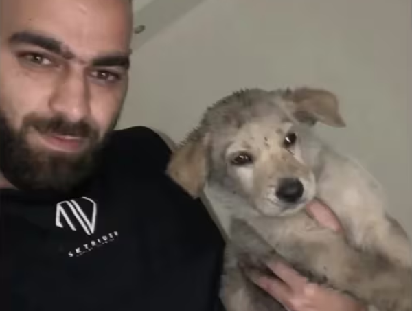 Conmovedor: un hombre rescató a un cachorro que había sido abandonado por sus dueños