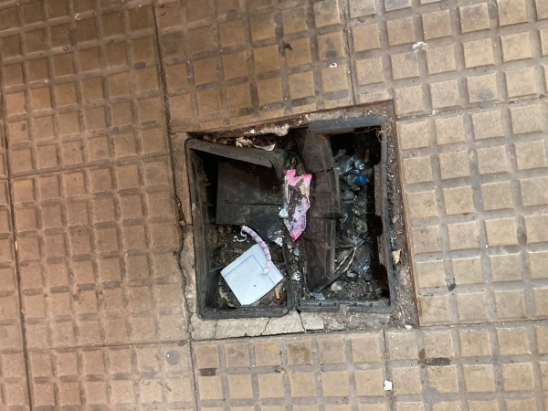 "As&iacute; est&aacute;n las vereditas de La Plata": Vecinos enojados con el estado de calle 12