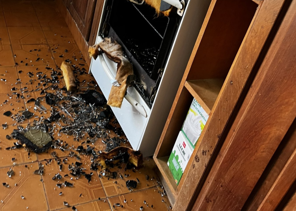 Explotó la puerta de su horno pero el pollo quedó a salvo y fue viral: "Nuevo miedo desbloqueado"