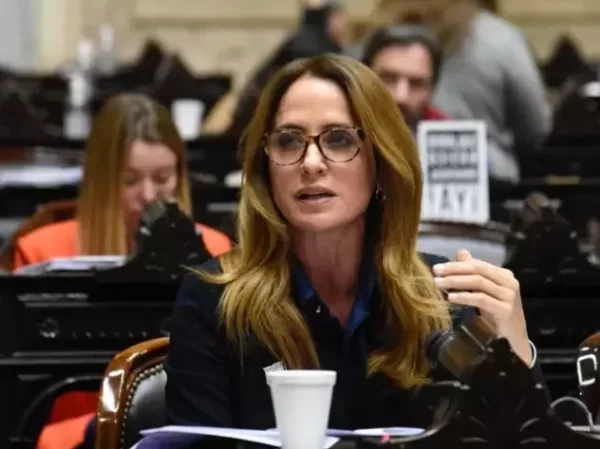 Tras la caída de la Ley Ómnibus, Tolosa Paz dijo que el Congreso es un reaseguro ante "las actitudes mesiánicas de Milei"