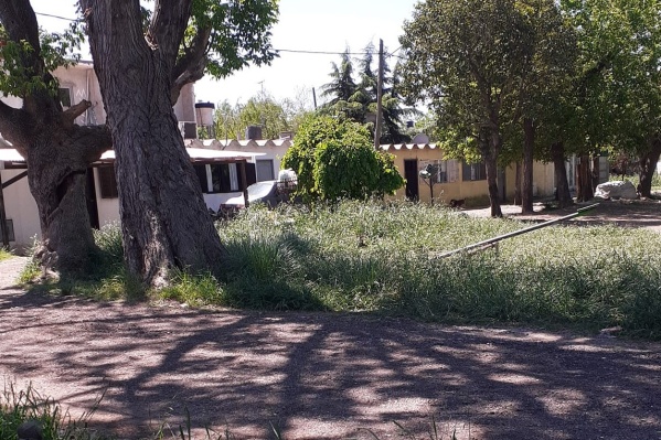 En 146 y 57 se quejaron por los pastos cada vez más altos: "Juegan niños pequeños"