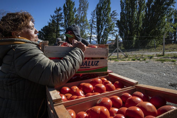 El Gobierno nacional anunciará nuevas medidas económicas para autónomos, pymes y trabajadores informales