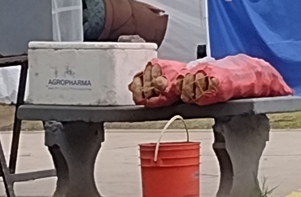 Vecinos se quejaron de que los vendedores ocupan todos los bancos en el Parque Saavedra los fines de semana