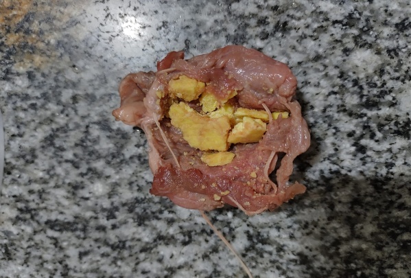 Guerra entre vecinos en Los Hornos: una mujer denuncia que quieren matar a sus gatas con carne envenenada