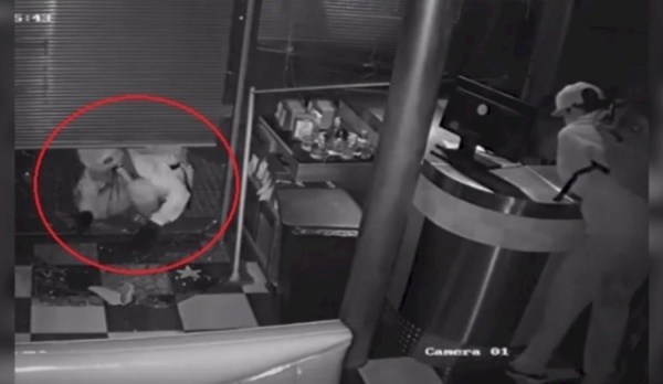 Temor en City Bell por "la banda de los adoquines" que ataca en los negocios de la zona