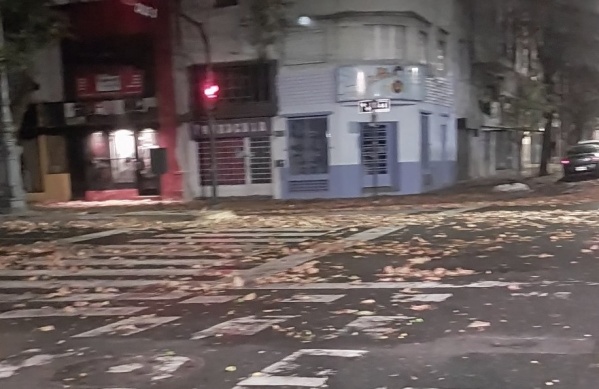 Un vecino del centro platense reclamó que se barran las hojas acumuladas sobre la avenida 44