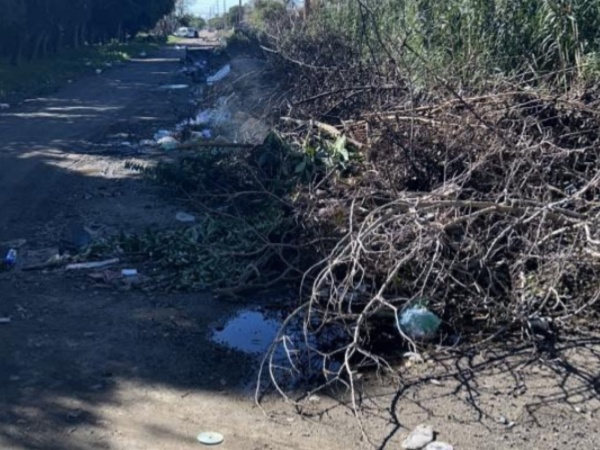 En avenida 526 entre 132 y 134 vecinos reclaman por limpieza