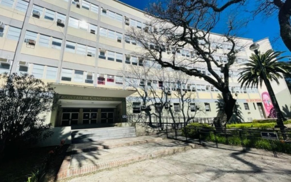 Paro docente universitario en La Plata: comenzó la primera de cinco jornadas de protesta