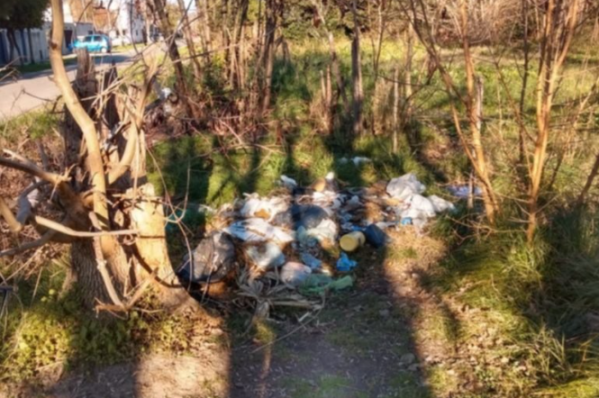En 6 bis y 601 reclamaron por un basural que atrae a ratas