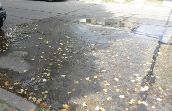 "Cuatro meses reclamando y nada": Vecinos de 12 y 61 denuncian una pérdida de agua