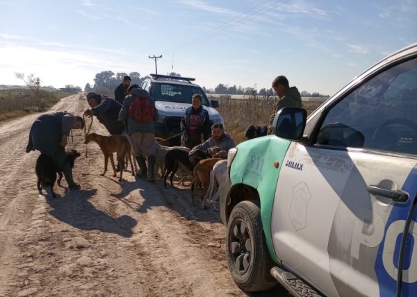 Seis hombres fueron detenidos por usar galgos para cazar en La Plata