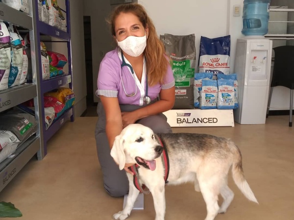 Le robaron el ecógrafo a una veterinaria platense y ofrecen recompensa por recuperarlo