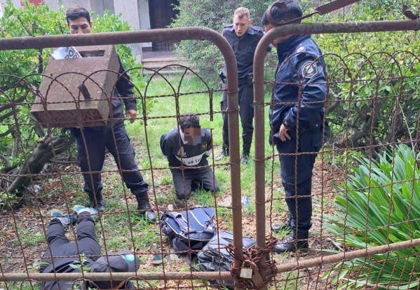 Dos sujetos ingresaron en una casona de La Plata para llevarse un jarrón antiguo y 12 platos de porcelana