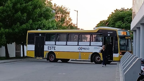 Héroe al volante: Un chofer de La Plata asistió a una pasajera descompuesta