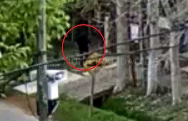 Brutal caso de violencia de género grabado en Villa Elisa: tiró la puerta y le pegó una patada en la cabeza