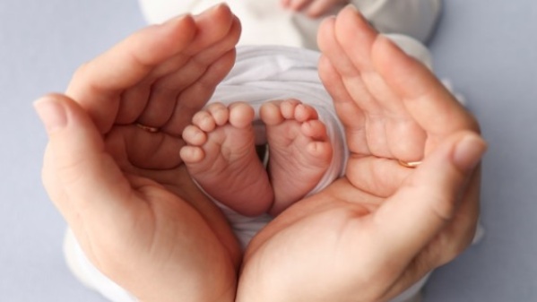 Septiembre fue el mes de los embarazos: los famosos que anunciaron que esperan un hijo