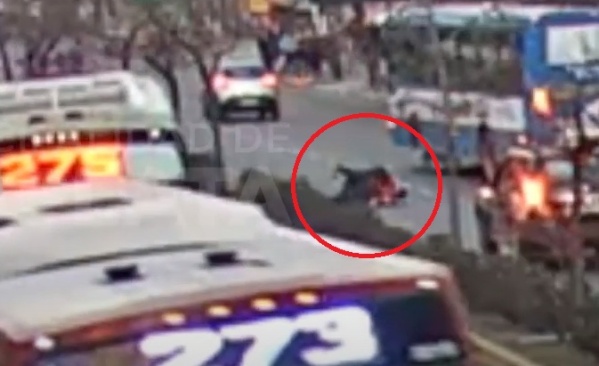 Se agarraron a las pi&ntilde;as en plena Avenida 7 y casi los pisan los autos