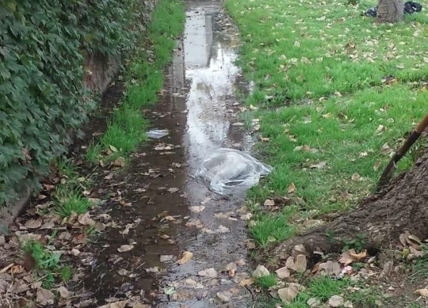 En 64 y 135 reclamaron que hay un "río" en la vereda y no tienen agua desde hace 10 días