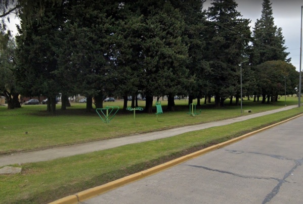 Su acompañante sacó a pasear a su perro a la rambla de 32 y los ladrones no perdonaron: feroz golpe en Tolosa