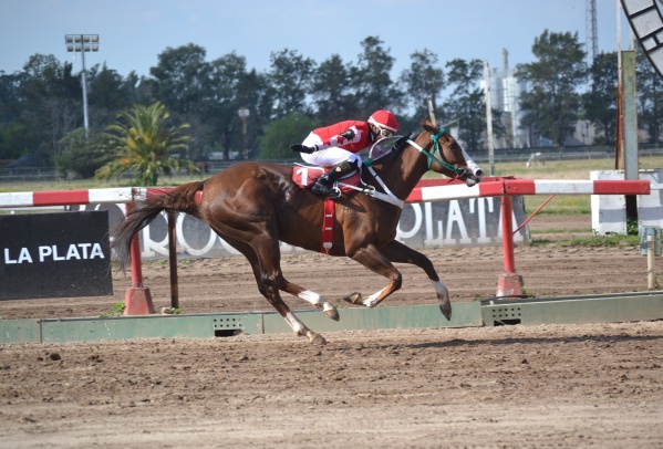 Conflicto por los premios en las carreras de caballos de La Plata: Cowen explicó que dependen del laboratorio de San Isidro