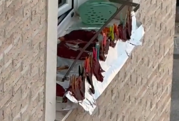 Sus vecinos empezaron a tender pedazos de carne y la joven grabó el insólito momento viral: "Como si fueran calcetines"