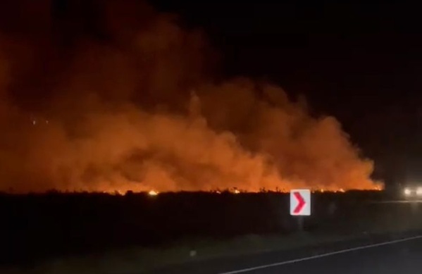 Se desat&oacute; un feroz incendio en Ruta 11 mano a Mar del Tuy&uacute;