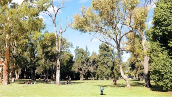 Siguen los reclamos por la demolici&oacute;n del espacio recreativo en Parque San Mart&iacute;n