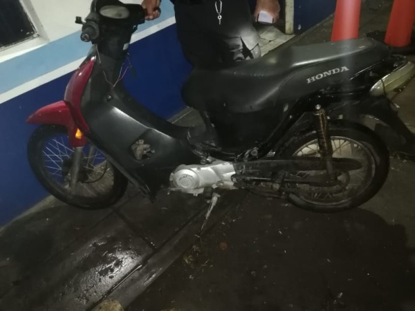 Detuvieron a un robacables mientras estaba trepado a un árbol en San Carlos