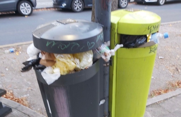 "Llenos hace semanas": Vecinos del centro platense reclaman por la falta de limpieza