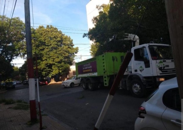 Vecinos de la zona de Parque Saavedra elevaron una queja porque una grúa dañó un árbol
