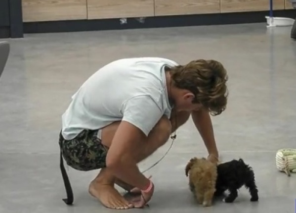 Los perritos de Gran Hermano ya eligieron a su participante favorito