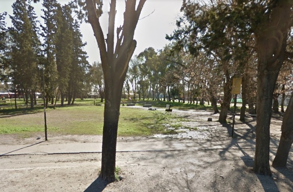 En el Parque Julio López de Los Hornos reclamaron por la poda de árboles y pinos que pueden caerse