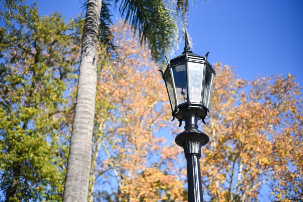 Se inició la puesta en valor en más de 500 columnas ornamentales históricas en el casco urbano de La Plata
