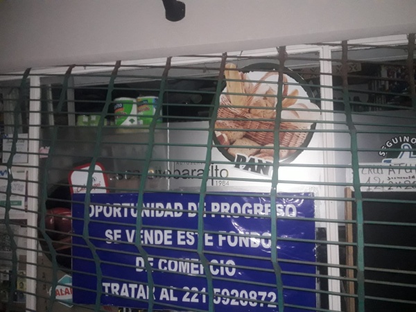 Atraparon a tres delincuentes que forzaron la persiana de un comercio para robar en Parque Castelli